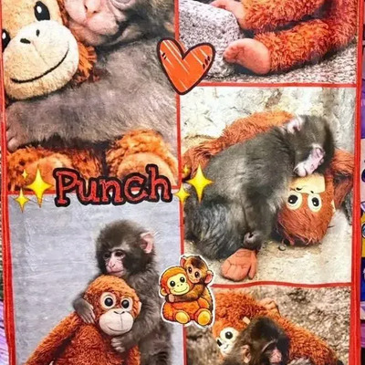Frazada Cobija Viajera Monito Punch Super Suave Polar 1 Kg Marrón