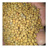 Adubo Fertilizante Plus 15-9-12 (8m) -10kg