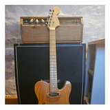 Guitarra Luthier Telecaster Thinline Mango 1 Pieza Maple Eu