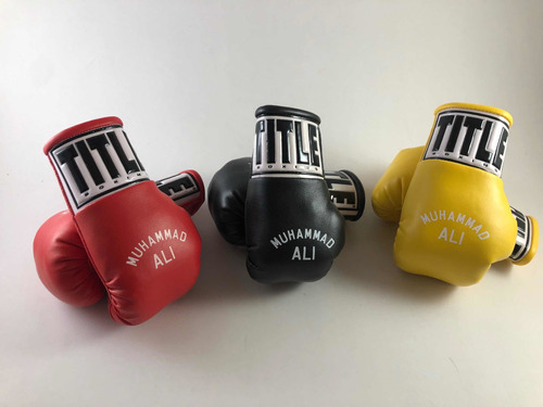 Mini Guantes De Boxeo Title Retrovisor