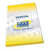 Papel Vegetal 105-110 G/m² Formato 330x550mm