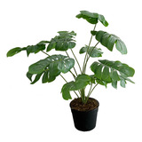 Planta Costilla De Adán Artificial 60 Cm Aproximadamnete