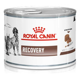 Lata Recovery Royal Canin Veterinary Diet  Perro Y Gato 145g
