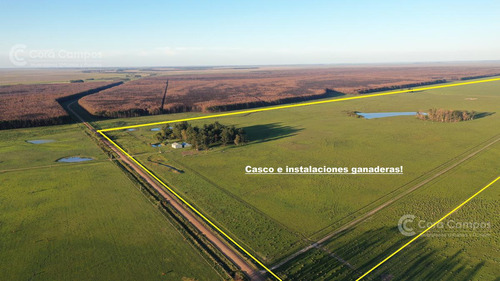 Se Vende Campo Foresto-ganadero  De 885 Ha En Paraje Galarza. Iberá. Corrientes