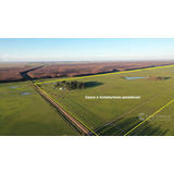 Se Vende Campo Foresto-ganadero  De 885 Ha En Paraje Galarza. Iberá. Corrientes