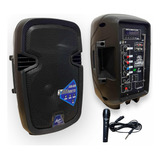Parlante Audio Sound 8 Pulgadas Bluetooth + Microfono 300w