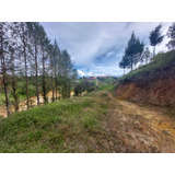 Venta De Lote En San Vicente Antioquia - Vereda Chaparral