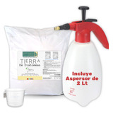 Kit 3 Kg Tierra De Diatomeas Mata Chinches Y Plagas Insectos