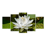 Quadros Decorativos Para Sala Flores Flor De Lotus Branca