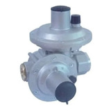 Regulador De Gas Natural 50  Nm3/h Gs-50 Salustri