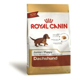Alimento Royal Canin Breed Health Nutrition Dachshund Para Cão Filhote De Raça Pequena Em Sacola De 2.5kg