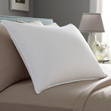 Pacific Coast Touch Of Down King Size 2-pillow Set Con 2 Kin