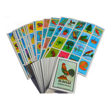 Loteria 20 Tablas Tamaño Chico