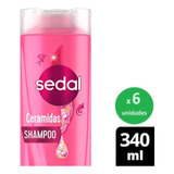 Pack Shampoo Sedal 340ml X 6 Unidades - Dh Tienda