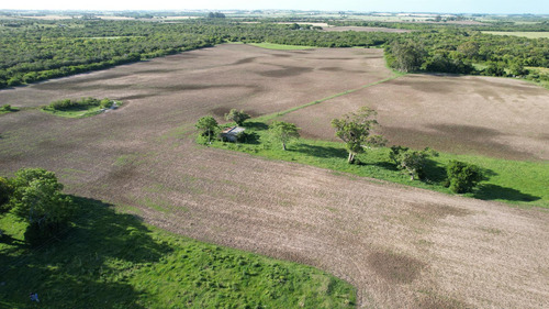Chacra Productiva En Colonia - Imagen 2
