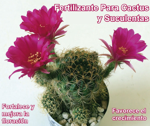 Fertilizante Para Cactus Y Suculentas Por 30 Ml (rinde 48 L)