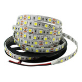 Tira Led Cinta 5050 Ip20 5 Mts 72w Blanco Frio 6000k