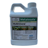 Metalosate Multimineral Albion 1 Litro