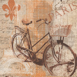 Guardanapo Bicicleta Vintage  Pdc827000 - Toke E Crie