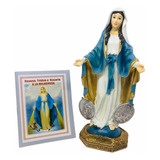 Virgen De La Medalla Milagrosa 22cm + Novenario