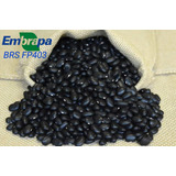 Sementes / Feijão Preto Brs Fp 403 Lançamento Embrapa 4-kg