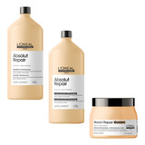 Kit Reconstrução Cabelos Danificados Loreal Absolut Repair 