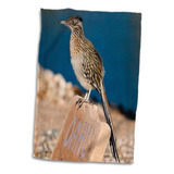 3d Rose Arizona-ciudad De Lake Havasu. Greater Roadrunner Bi