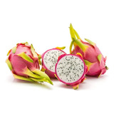 Pitaya O Fruto Del Dragon Variedad Exotica Undatus