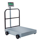 Báscula Industrial Digital Torrey Eqm 400kg Con Mástil 110v/220v 83.18 cm X 68.5 cm