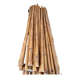 10 Varas De Bambú Naturales Adorno 150 Cm Largo/3 Cm Grosor