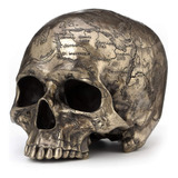 Diseño Verono Acabado En Bronce Craniumografía Mapa Del Teso