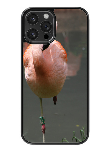 Funda Diseño Para Samsung Flamencos Full Hd #4