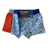 Boxer 2 Unidades Talla 6 Niño Marca Harvest