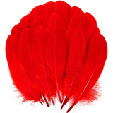 Plumas Ganso Pavo Decorativa Naturales Con 50 Plumas 15-20cm