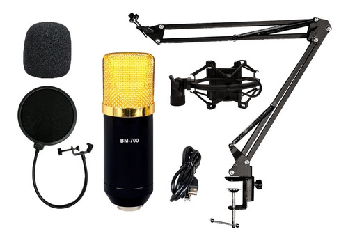 Microfono Condenser Kit Estudio Profesional Streamer Plug