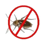 Ultrasonido Ratas Cucarachas Murcielagos Insectos Ls 912 - El Emporio De Los Espantaplagas En Congreso Capital