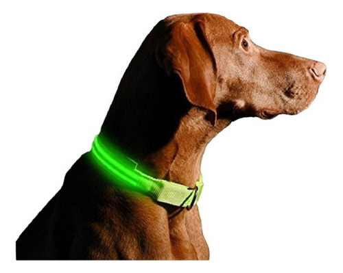 Collar Luz Led Reflectivo Perro Gato Mascotas 3 Efectos Pro