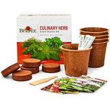 Burpee Culinary Garden Starter Kit Paquetes, 5 Macetas, 5 Gr