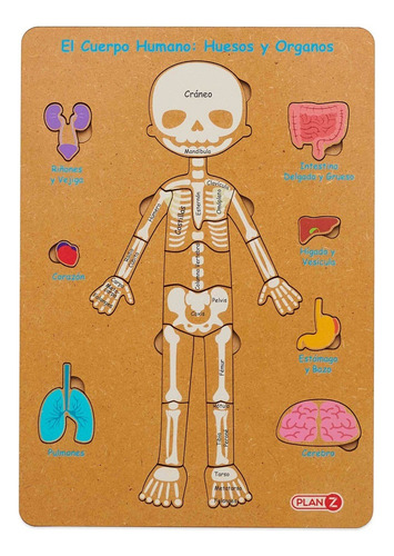 Juego Encastre Cuerpo Humano Educativo Huesos Organos Madera