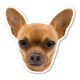 El Imán Para Perro Chihuahua De  Mide 4.5 X 4.875 Pulgadas, 