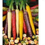 300 Semillas Zanahoria Arcoiris Colores Exoticas Certificada