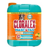 Cloralex Mascotas 10 Litros Msi