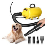 Secador Profesional 2800w Para Perros Gatos Y A