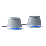 Altavoces Usb Plug-n-play Para Computadora O Portátil Color Plateado