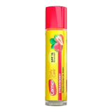 Carmex Lip Balm Barra 4.25g Balsamo Original Usa