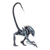 Arachnoid Alien Neca Alien Vs Predator Alienigena 20 Cm