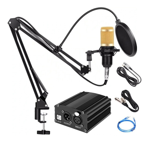 Kit Completo Ejz Microfone Bm-800 C/ Suporte E Phantom Power