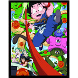 Cuadro Decorativo Dragon Ball Medidas 30x40 Cm