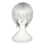 Hombre Peluca Blanca Para Cosplay Anime Personajes Recto Sho