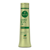 Shampoo Haskell Jaborandi - 500ml